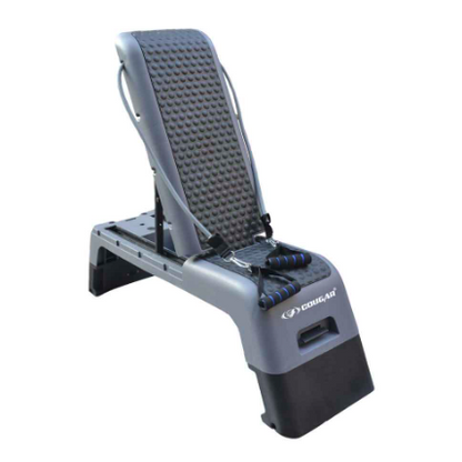 Cougar Aerobic Stepper Bench - FitMe